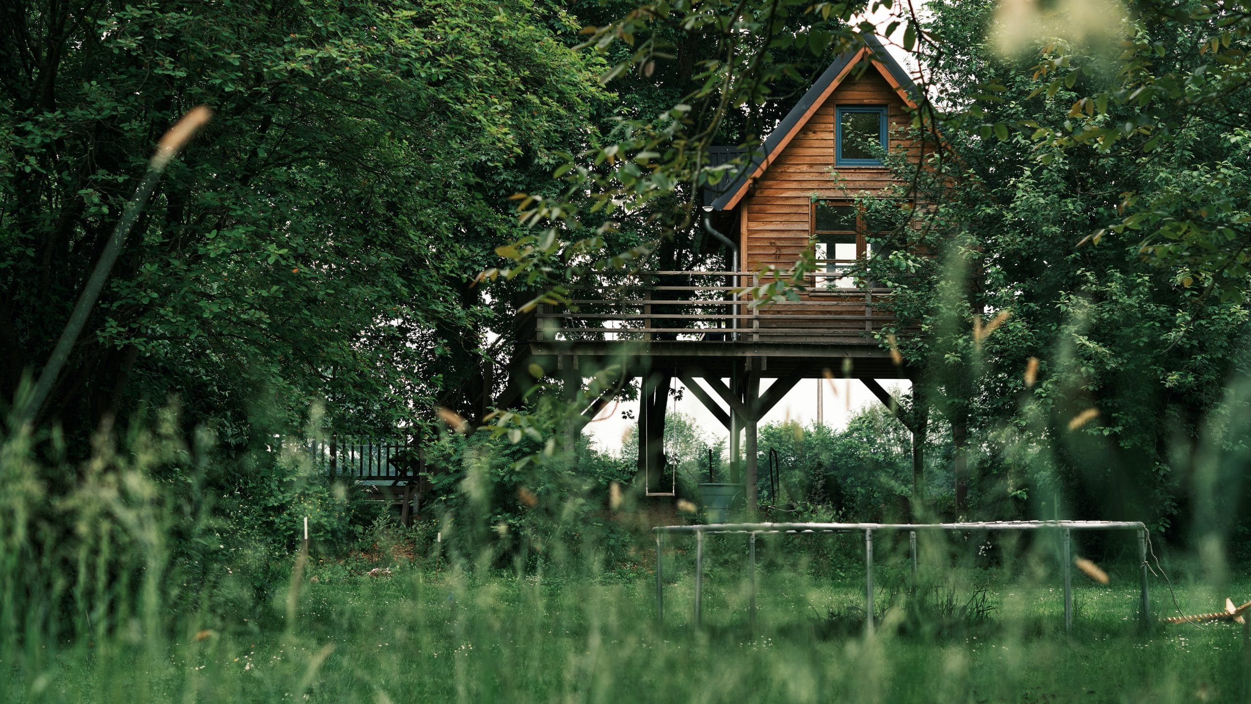 Cabane arbre