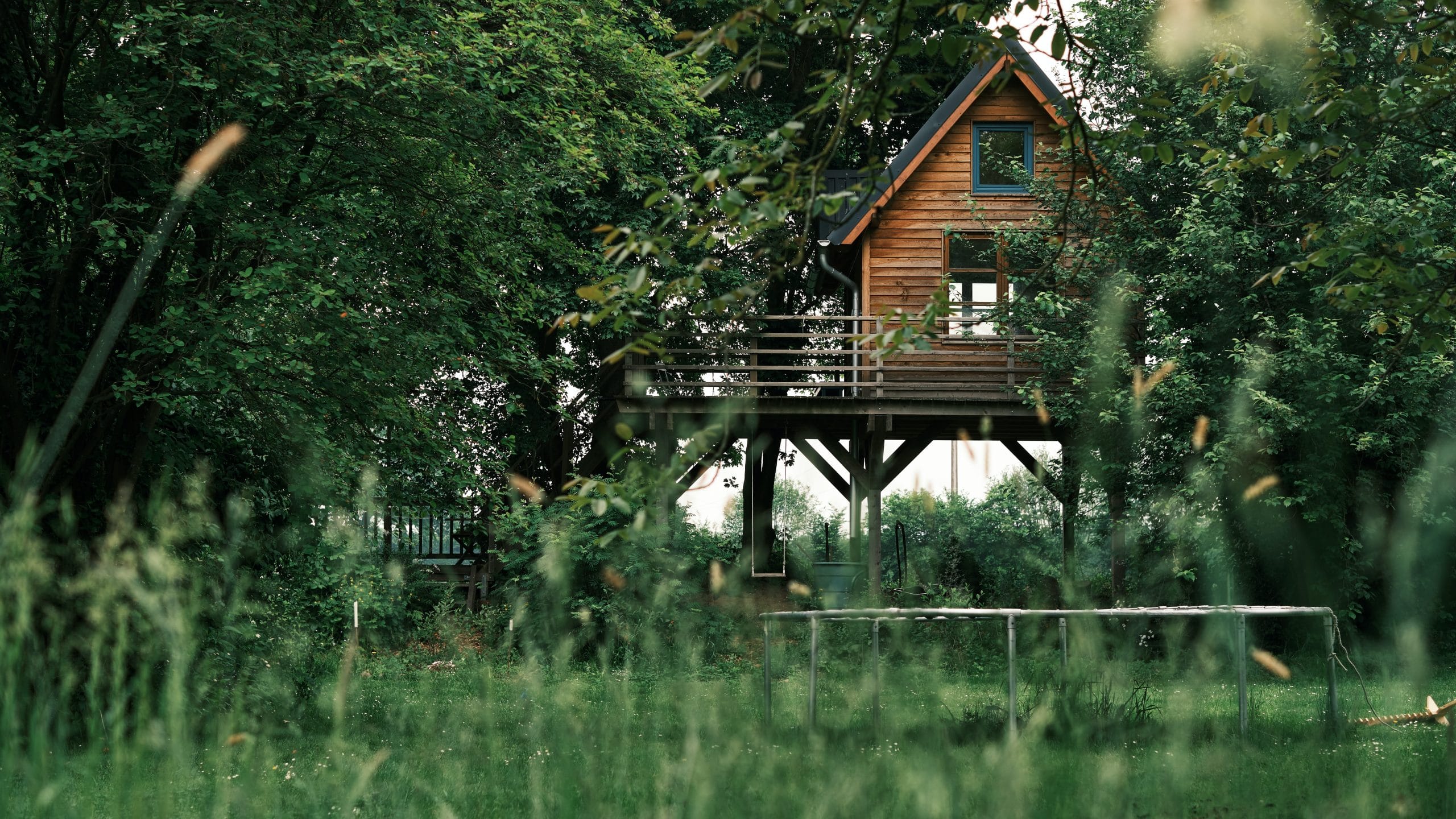 Cabane arbre